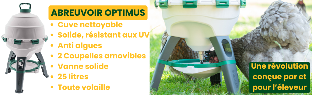découvrez notre abreuvoir Optimus